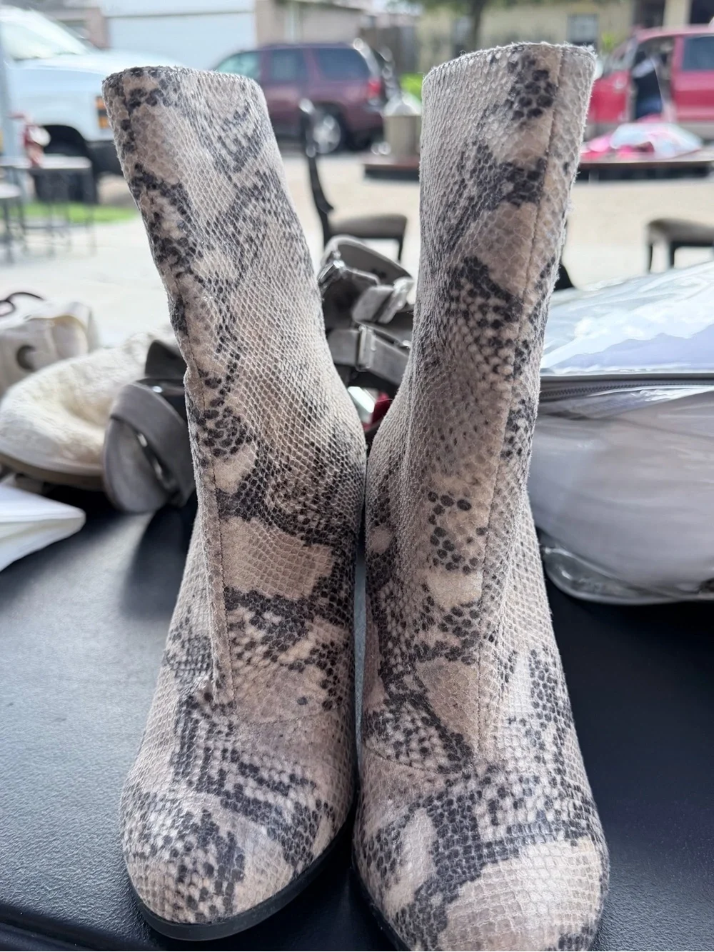 A+ Ellen Snake-Print Ankle Boots in Beige and Black